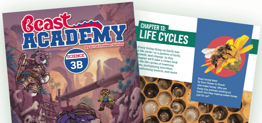 Beast Academy / AoPS Science 3B book cover and chapter 13 lifecycle display